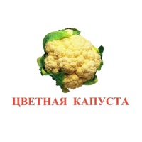 Карточки Домана "Овощи-Зелень-2" - «globural.ru» - Краснокаменск