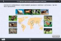 Интерактивные курсы. Биология 7 класс. Расширенный - «globural.ru» - Краснокаменск