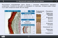 Интерактивные курсы. Биология 5 класс. Базовый  - «globural.ru» - Краснокаменск