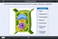 Интерактивные курсы. Биология 9 класс. Базовый - «globural.ru» - Краснокаменск