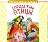 CD "Аудиоэнциклопедия. Городские птицы" - «globural.ru» - Краснокаменск