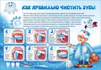 Стенд "Как правильно чистить зубы" - «globural.ru» - Краснокаменск