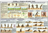 Плакат "Приемы и правила метания гранат" - «globural.ru» - Краснокаменск
