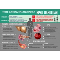 Стенд "Алкоголь" - «globural.ru» - Краснокаменск