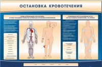 Электрифицированный стенд-тренажер "Остановка кровотечения" - «globural.ru» - Краснокаменск