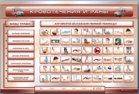 Трехсекционный базовый комплект "Травмы. Кровотечения. Ожоги" для учащихся общеобразовательных учреждений - «globural.ru» - Краснокаменск