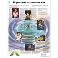 Плакат "Наркотическая зависимость", ламинированный, 50*67 см - «globural.ru» - Краснокаменск