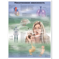 Плакат "Никотиновая зависимость", ламинированный, 50*67 см - «globural.ru» - Краснокаменск