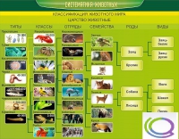 Стенд "Систематика животных" - «globural.ru» - Краснокаменск
