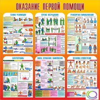 Стенд "Оказание первой помощи" - «globural.ru» - Краснокаменск