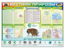 Стенд-уголок "Вестник природы" (вариант 1) - «globural.ru» - Краснокаменск