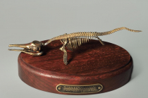 Модель скелета ихтиозавра Ichthyosaurus - «globural.ru» - Краснокаменск