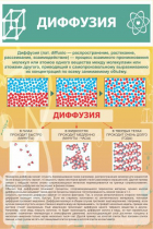 Стенд "Диффузия" - «globural.ru» - Краснокаменск