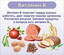 Стенд "Витамин В" - «globural.ru» - Краснокаменск