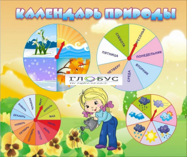 Стенд "Календарь природы" (вариант 1) - «globural.ru» - Краснокаменск