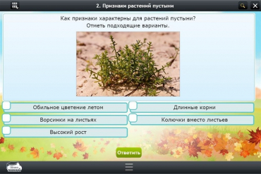 Интерактивные курсы. Окружающий мир 3 класс. Базовый - «globural.ru» - Краснокаменск