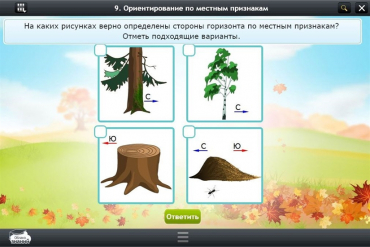 Интерактивные курсы. Окружающий мир 1 класс. Базовый - «globural.ru» - Краснокаменск