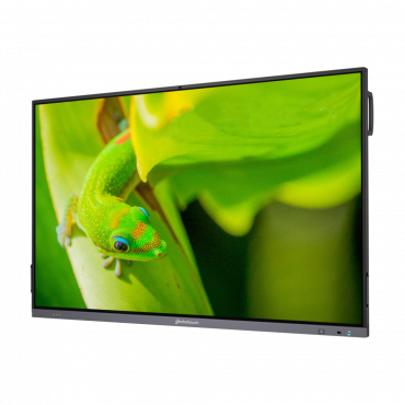Интерактивный программно-аппаратный комплекс Geckotouch Interactive IP75GT-C в комплекте с настенным креплением - «globural.ru» - Краснокаменск